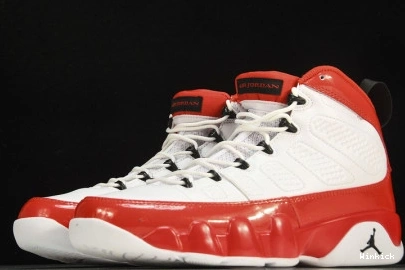 Jordan 9 Air 302370-160 1009